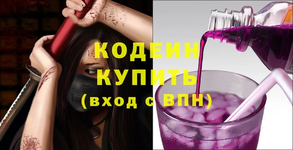 молекула духа Медвежьегорск