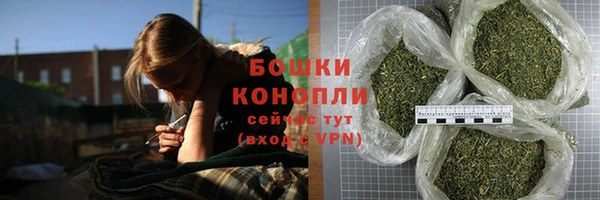 молекула духа Медвежьегорск