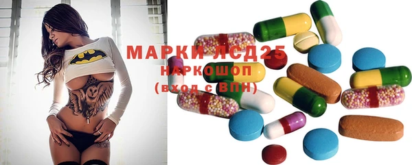 молекула духа Медвежьегорск