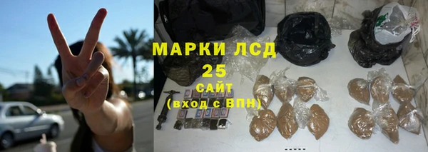 хмурый Мегион