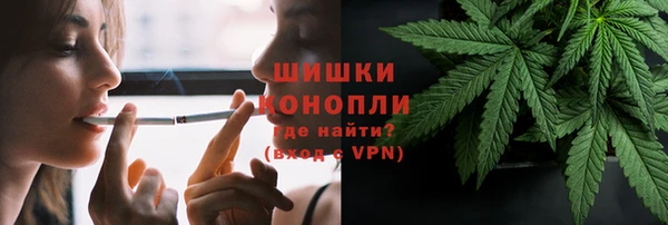 хмурый Мегион