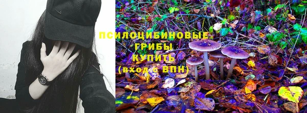 молекула духа Медвежьегорск