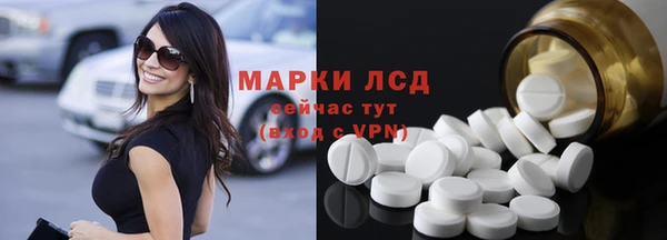 стаф Апатиты