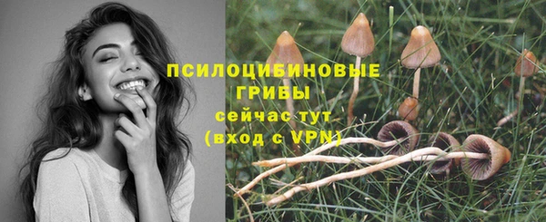 молекула духа Медвежьегорск