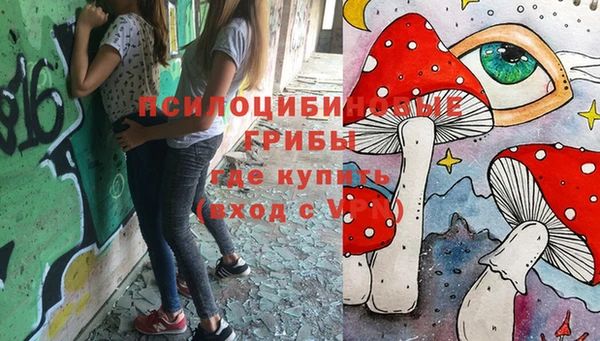 молекула духа Медвежьегорск