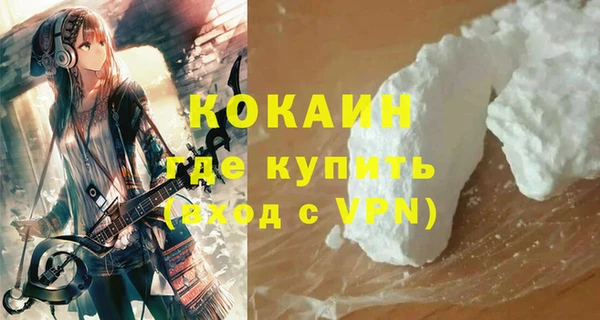молекула духа Медвежьегорск