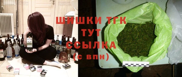 хмурый Мегион