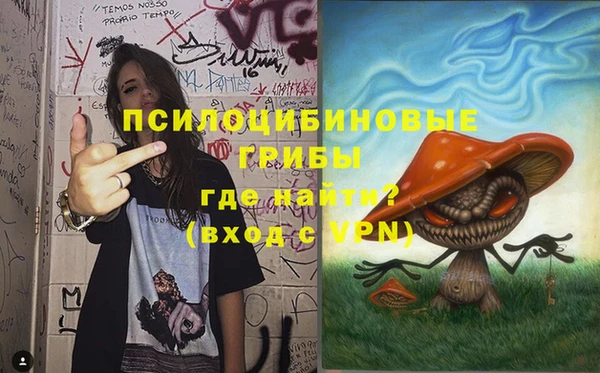 спиды Бородино