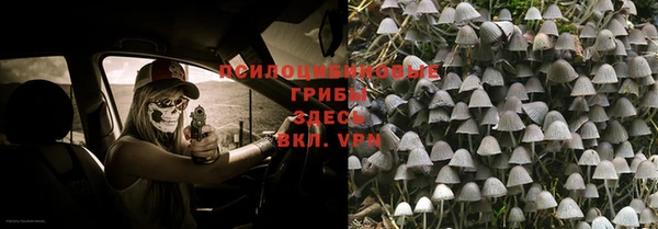 хмурый Мегион