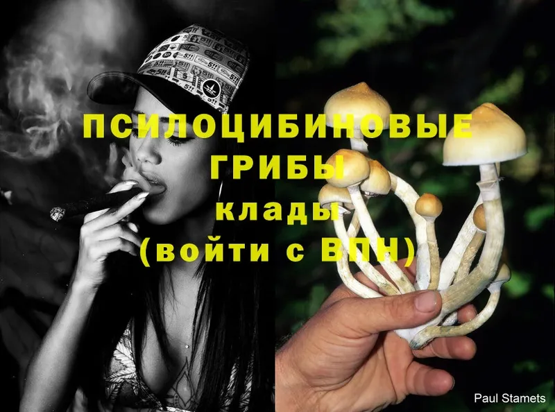 Псилоцибиновые грибы GOLDEN TEACHER  блэк спрут как зайти  Сатка 