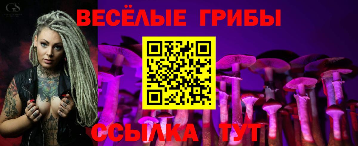 Псилоцибиновые грибы ЛСД  где купить наркоту  Сатка  Вход с VPN  Псилоцибиновые грибы MAGIC MUSHROOMS 